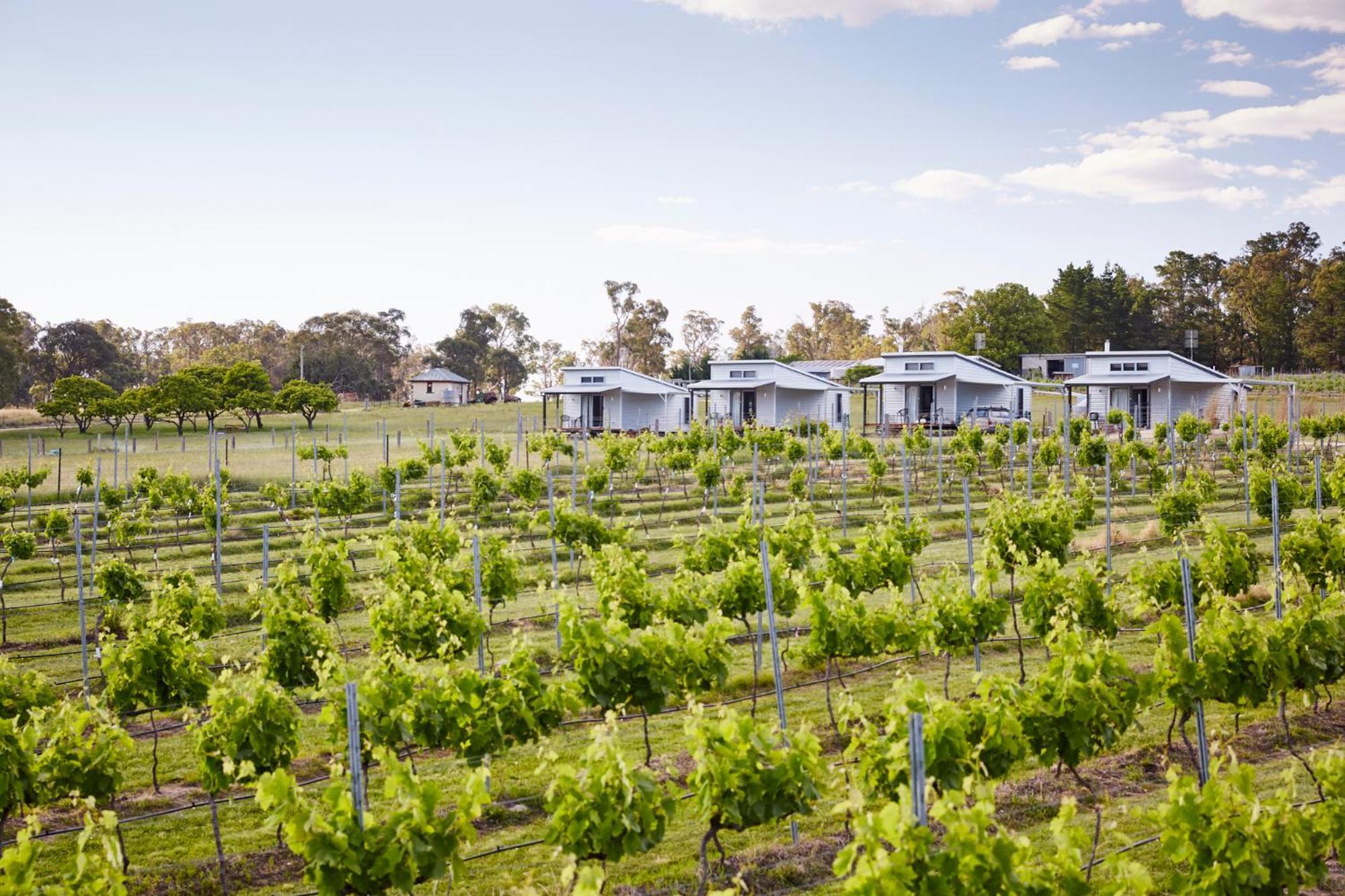 Aparthotel Ridgemill Estate Stanthorpe Exteriér fotografie